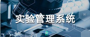 可先确认当前栏目名称